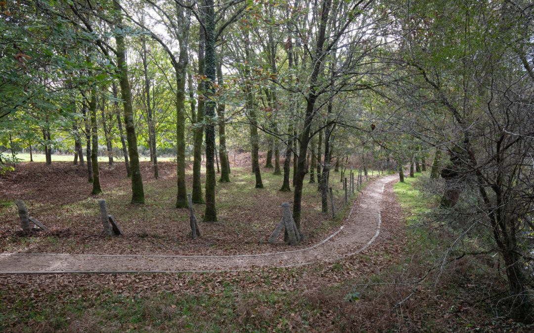 O PP de Ponteareas impulsa a recuperación do pulmón verde da vila e pon en valor o seu patrimonio natural