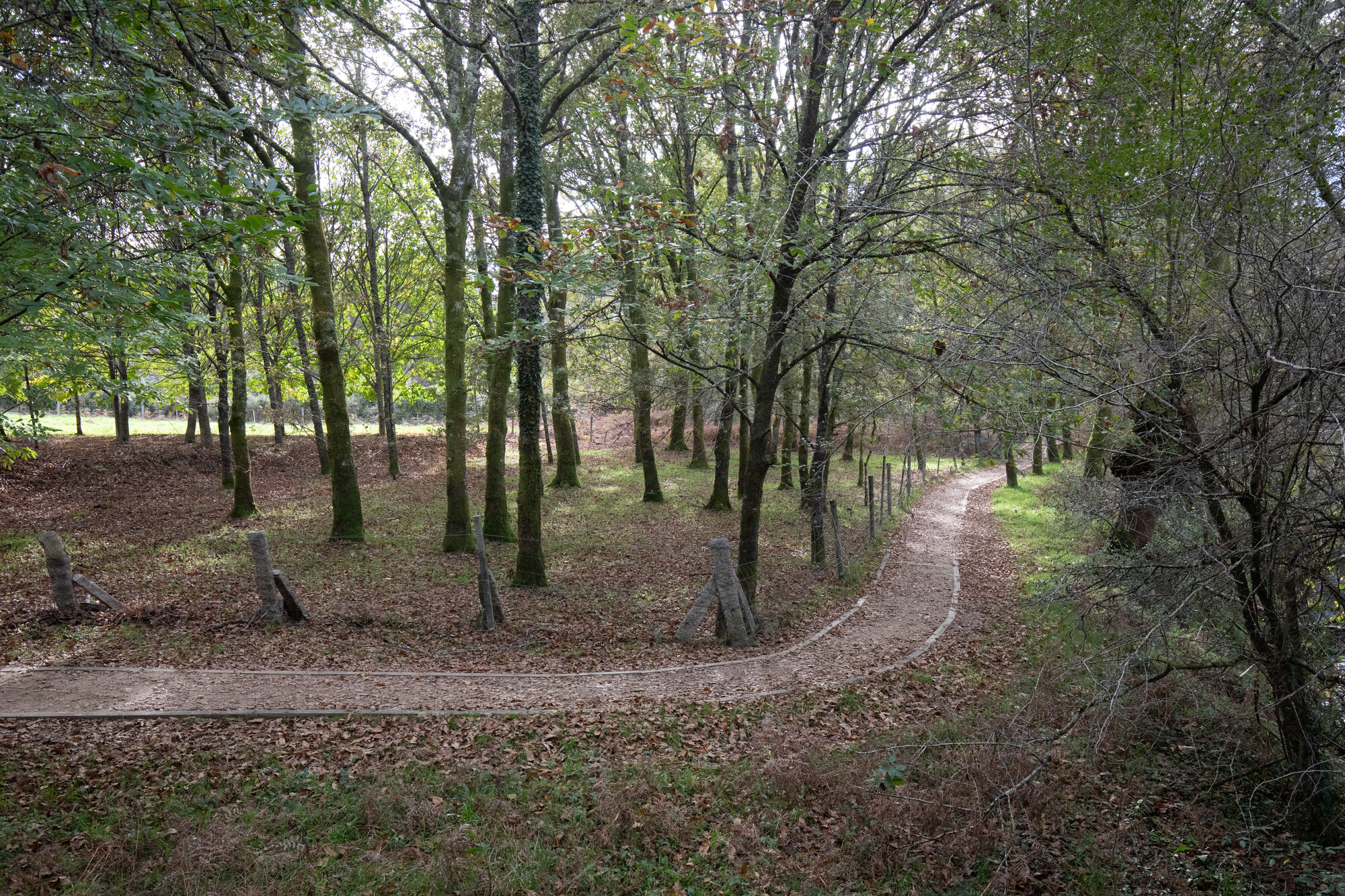 644314077_1357191339785477_357489786088466991_n